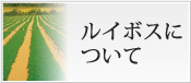 �륤�ܥ��ˤĤ���